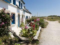 156 ILE DE HOEDIC_000031
